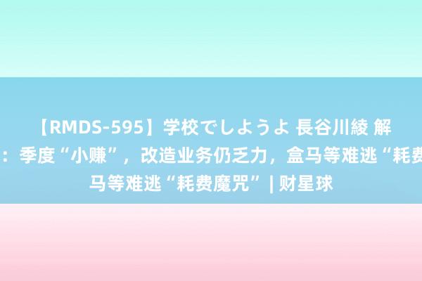 【RMDS-595】学校でしようよ 長谷川綾 解读阿里巴巴财报：季度“小赚”，改造业务仍乏力，盒马等难逃“耗费魔咒” | 财星球