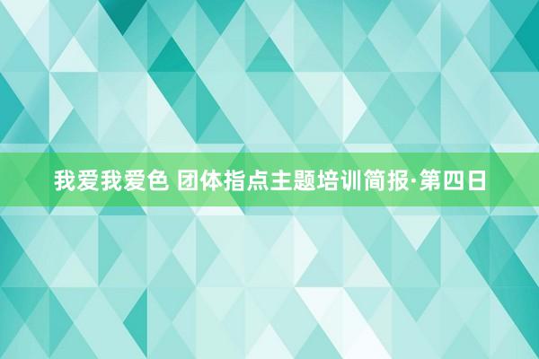 我爱我爱色 团体指点主题培训简报·第四日