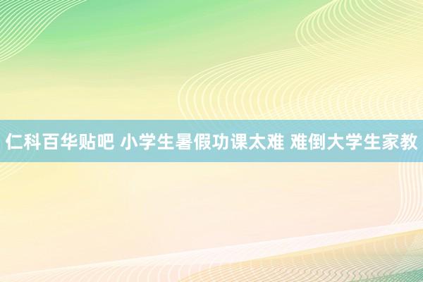 仁科百华贴吧 小学生暑假功课太难 难倒大学生家教